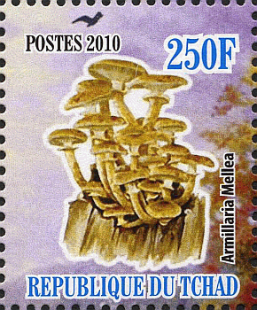 Briefmarke