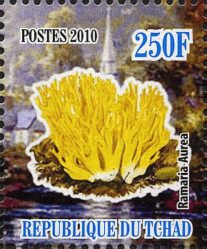 Briefmarke