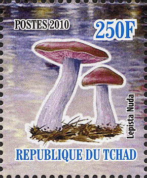 Briefmarke