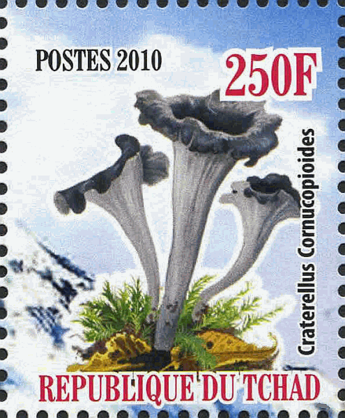 Briefmarke