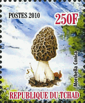 Briefmarke