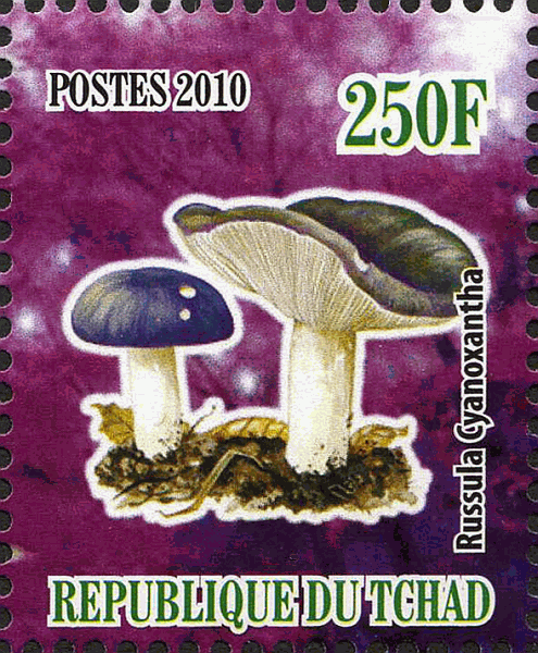 Briefmarke