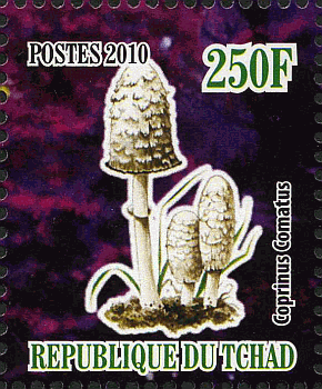 Briefmarke