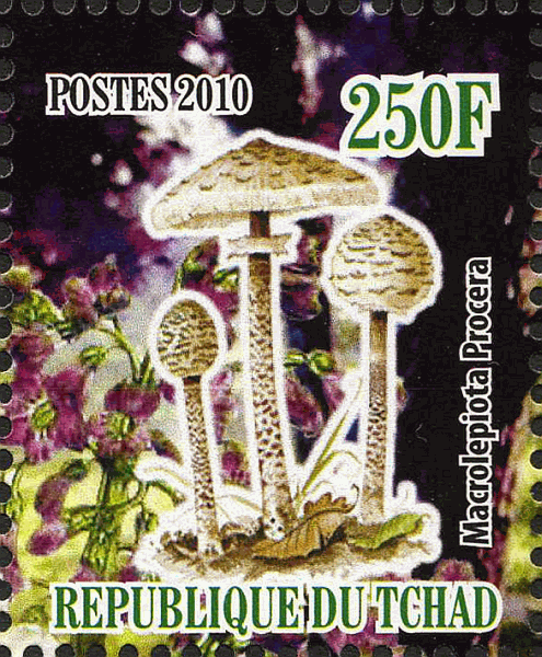 Briefmarke