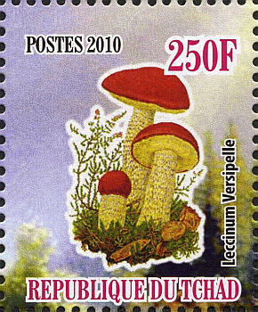 Briefmarke