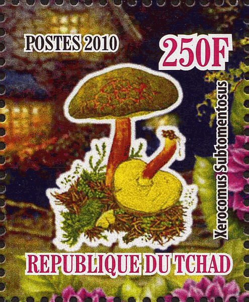 Briefmarke
