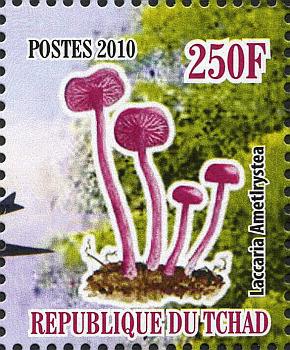Briefmarke
