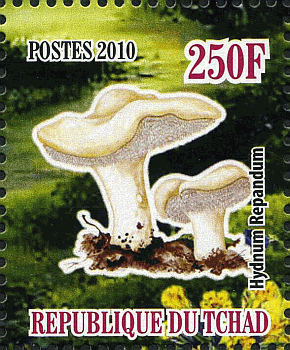 Briefmarke