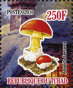 Briefmarke