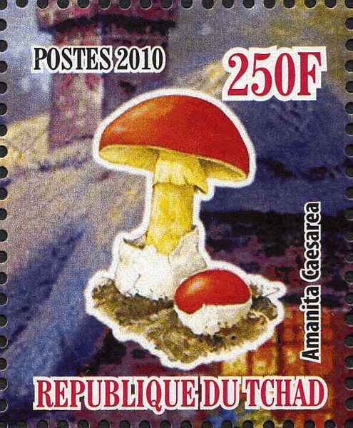 Briefmarke
