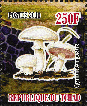 Briefmarke