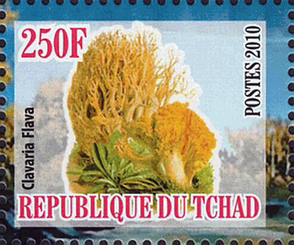 Briefmarke