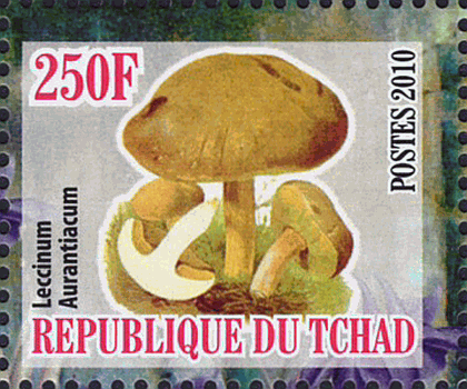 Briefmarke