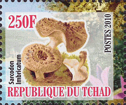 Briefmarke