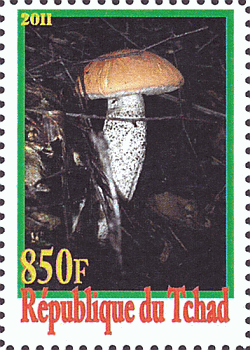 Briefmarke