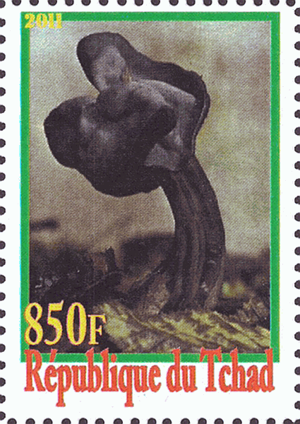 Briefmarke