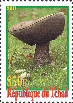 Briefmarke