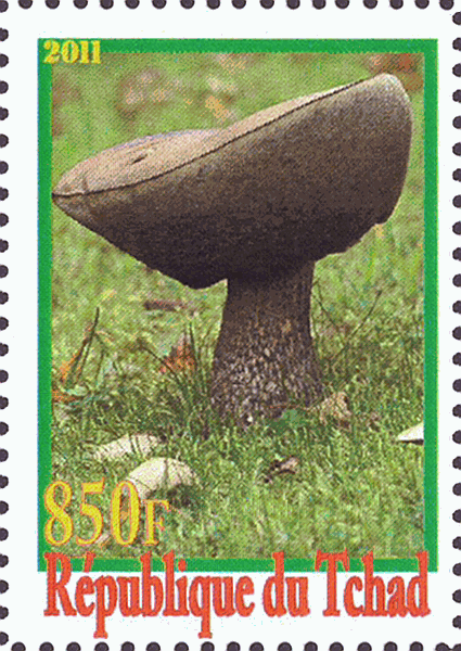Briefmarke