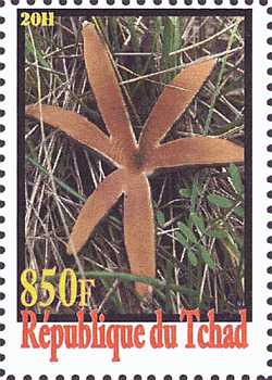 Briefmarke
