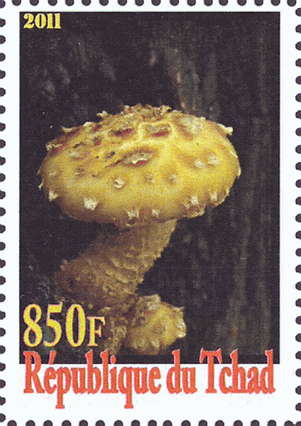 Briefmarke