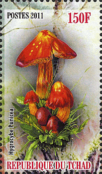 Briefmarke