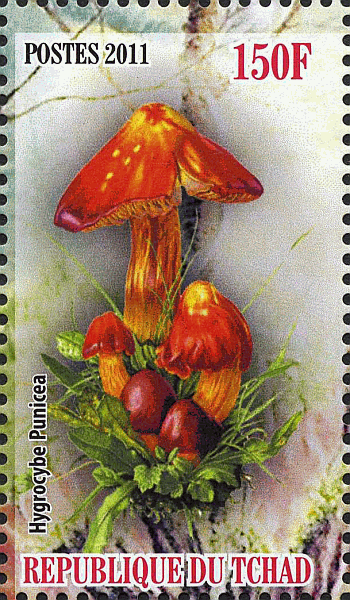 Briefmarke