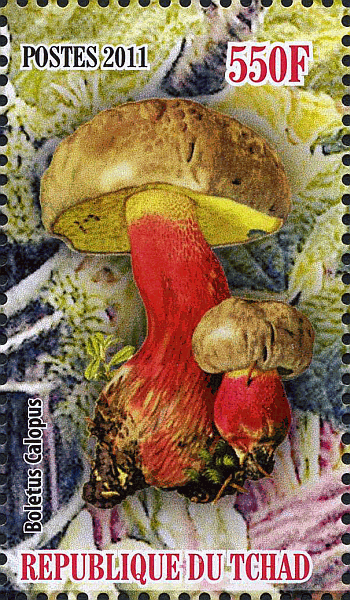 Briefmarke