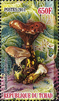 Briefmarke