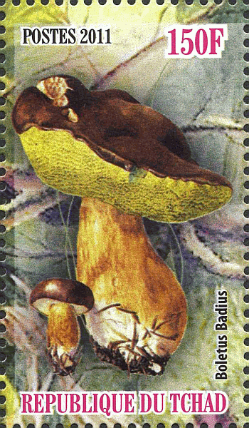 Briefmarke