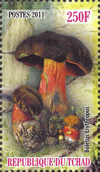 Briefmarke