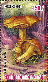 Briefmarke