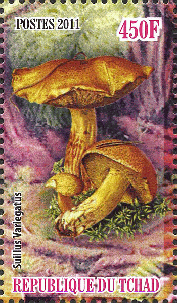 Briefmarke