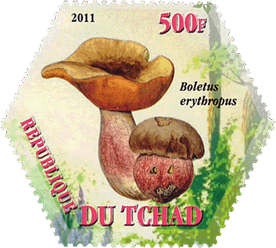Briefmarke
