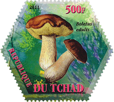 Briefmarke