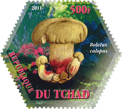 Briefmarke