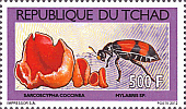 Briefmarke