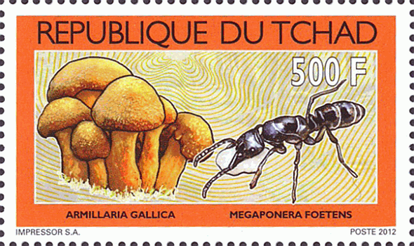 Briefmarke