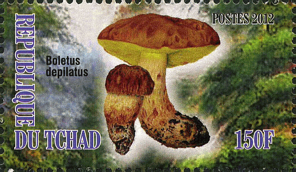 Briefmarke