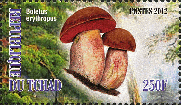 Briefmarke
