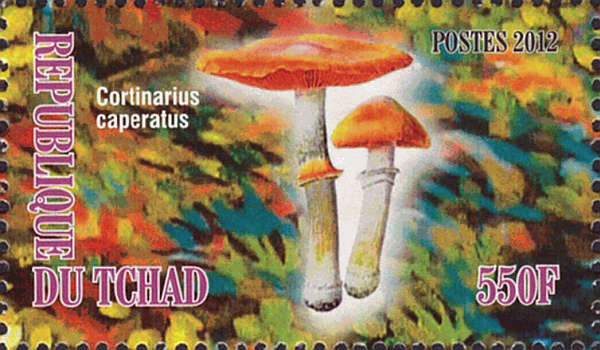 Briefmarke
