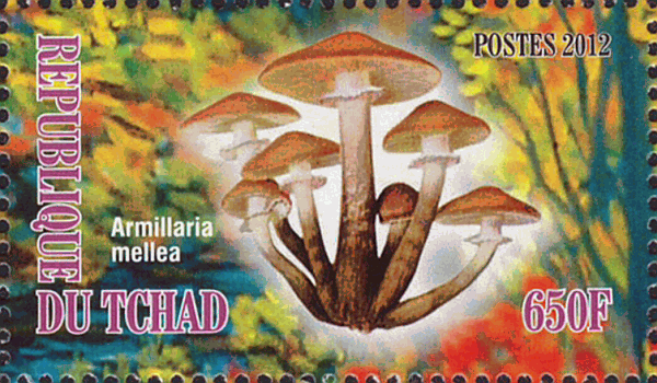 Briefmarke