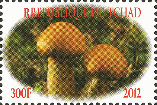 Briefmarke