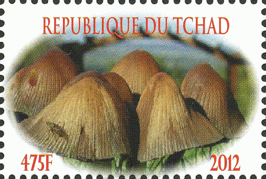 Briefmarke