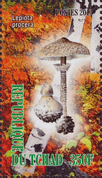 Briefmarke