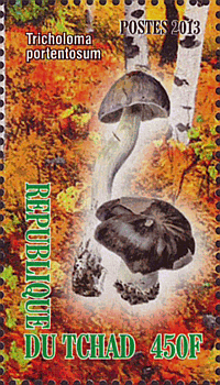 Briefmarke