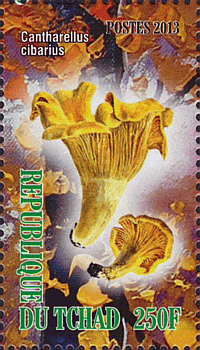 Briefmarke