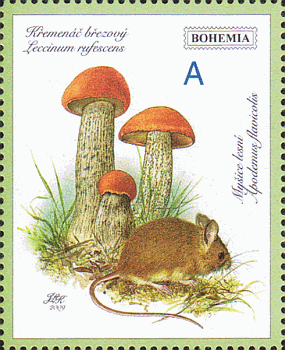 Briefmarke