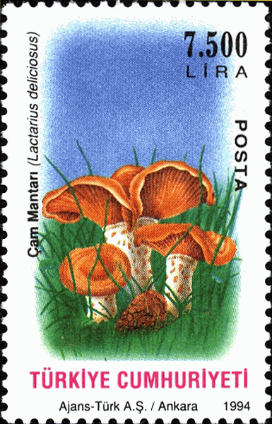 Briefmarke
