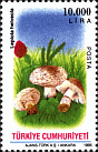Briefmarke