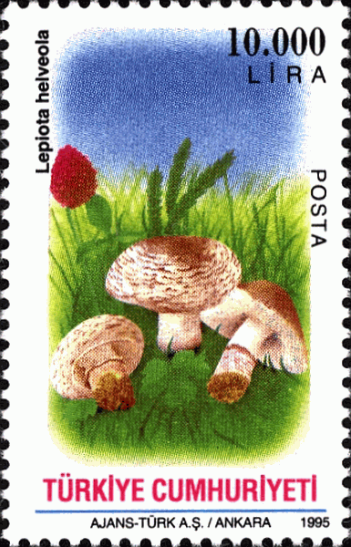 Briefmarke